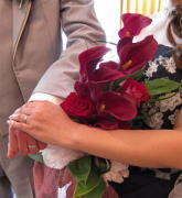 �Ԃ��J���[�̃u�[�P