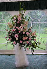 �w�����_�O���X���