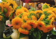 モネのひまわり